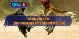 giao diện app gà đá đòn hiểm