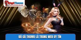 giao diện app ga da thomo c2