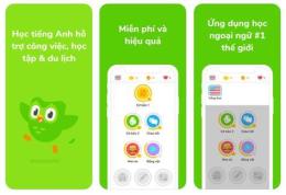 giao diện app gà đá tiếng anh
