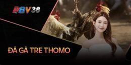 giao diện app ga don da voi ga tre thomo
