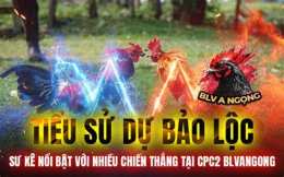 giao diện app gà duyên ti đá với bảo sting