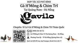 giao diện app gà h
