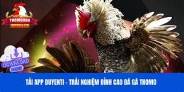 giao diện app gà khét của anh cọp đá thomo