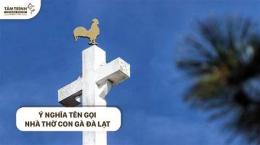 giao diện app giờ lễ chúa nhật nhà thờ con gà đà lạt