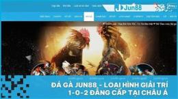 giao diện app jun88 đá gà