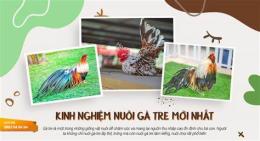 giao diện app kinh nghiem nuoi ga tre da