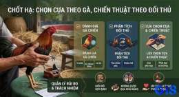 giao diện app kỹ thuật sửa gà đá cựa sắt