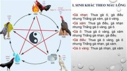 giao diện app lịch ngũ hành gà đá