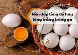 giao diện app lòng đỏ trứng gà có tác dụng gì cho da