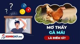 giao diện app nằm mơ thấy gà đá lớn đánh số gì