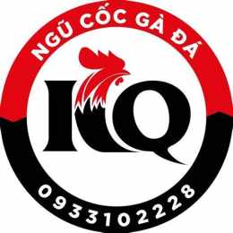 giao diện app ngũ cốc gà đá kq