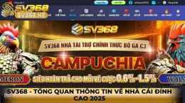 giao diện app sv368 da ga thomo