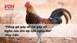giao diện app thơ về gà đá
