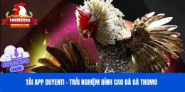 giao diện app thomo gà nòi đá gà tre
