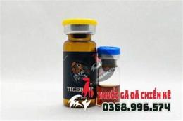 giao diện app thuốc chích gà đá tiger