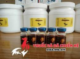 giao diện app thuốc gà đá nhập khẩu