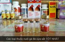 giao diện app thuốc nhỏ gà đá cựa sắt