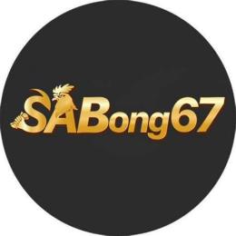 giao diện app tong hop đá gà sabong67