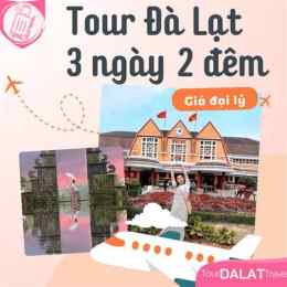 giao diện app tour ga đà lạt
