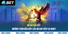 giao diện app trận gà đá 2 tỷ