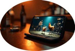 giao diện app trực tiếp đá gà bj66
