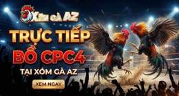 giao diện app trực tiếp đá gà bồ gà to ngon