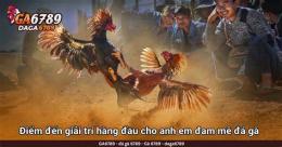 giao diện app trực tiếp đá gà c1 c2 hôm nay