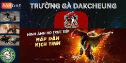 giao diện app trực tiếp đá gà c1 savan