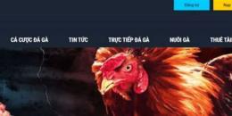 giao diện app trực tiếp đá gà casino 369