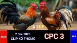 giao diện app trực tiếp đá gà cpc 3 hôm nay