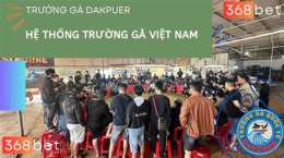 giao diện app trực tiếp đá gà đắk puer 888