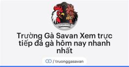 giao diện app trực tiếp đá gà đòn savan hôm nay