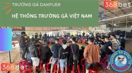 giao diện app trực tiếp đá gà lệ thanh