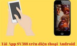 giao diện app trực tiếp đá gà sopbao