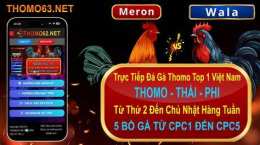 giao diện app trực tiếp đá gà thomolive net