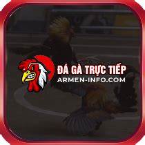 giao diện app trực tiếp đá gà thomo.net