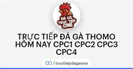 giao diện app trực tiếp đá gà tructiepdaga.one