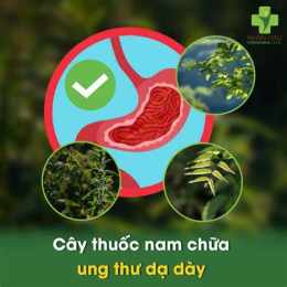 giao diện app trứng gà chữa đau dạ dày