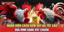 giao diện app vảy gà đá xấu