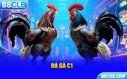 giao diện app video đá gà c1