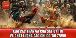 giao diện app xem cựa gà đá