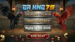 giao diện app xem đá gà cpc2 hôm nay
