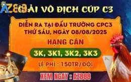 giao diện app xem đá gà cúp c3