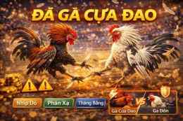 giao diện app xem đá gà đòn những đòn chết gà