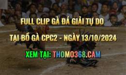 giao diện app xem đá gà thomo 368