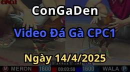 giao diện app xem đá gà trực tiếp cpc2 congaden com