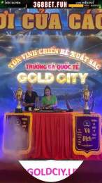 giao diện app xem đá gà trực tiếp gold city