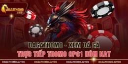 giao diện app xem đa ga trưc tiep