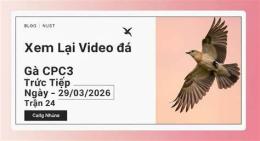 giao diện app xem lại video đá gà
