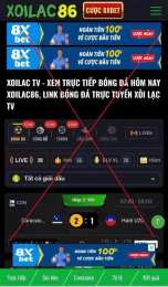 giao diện app xôi lạc đá gà